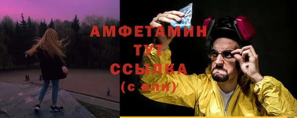 прущие грибы Бородино