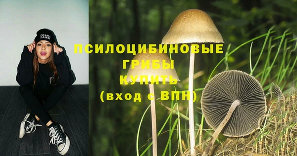 первитин Мегион