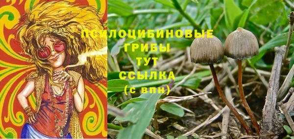 первитин Мегион
