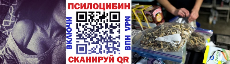 купить   Смоленск  Псилоцибиновые грибы мицелий 